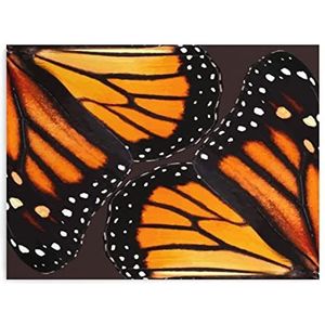 Oranje Monarch Vlinder Vleugels Kunstwerk voor Thuis Muur Decor Canvas Schilderij Retro Poster Unframe-stijl
