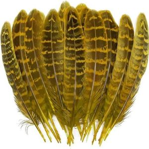 20 stuks vleugels van engel grote veren fazant kip pluimen carnaval hoofdtooi diy bruiloft decor ambachten accessoires en materialen-gele veren-20 stuks