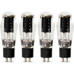 HIFI WE2A3 audio buis versterker kit, doe-het-zelf ondersteuning (4 stuks)