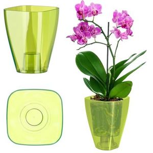 KADAX Bloempot, slanke orchideeënpot, eenvoudige plantenbak, bloempot voor orchidee, honingraat, madeliefjes, bloempot voor keuken en woonkamer, diameter 9 cm, hoekig, groen