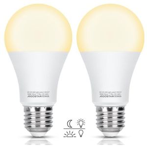 Aigostar - LED E27 A60 - Gloeilamp - Warm Licht 3000K - 12W Equivalent aan 81W - 2 Stuks