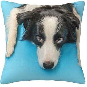 YUNWEIKEJI Grappige puppy hond border collie blauwe achtergrond, kussensloop decoratieve kussensloop zachte polyester kussenslopen 45 x 45 cm