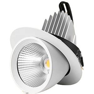 Downlights Inbouw, Inbouw, Plafondlamp， Verstelbare inbouwplafondlamp 12W 20W 30W 40W Draaibare LED-kofferbakverlichting Gimbal Richting LED-spots Eenvoudige retrofit-installatie - Geen flikkering(Siz