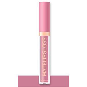 INTEROOKIE Matte Lipstick Lipgloss Non Stick, Langdurige Lip Stain Vloeibare Lipstick, Non-transfer Lip Colour Make-up, Lip Tint voor Vrouwen (04-upgrade)