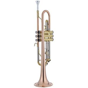 Standaard Trompet B-gestemd Koperen Instrument Fosfor Messing Body Beginnerstest Voor Volwassen Studenten Standaard trompetten