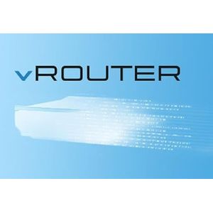 Lancom - vRouter 250 - Router - 250 Mbit/s - 50 Sites - 16 ARF