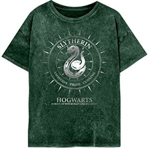 Harry Potter Vrouwen/Dames Zwadderich Sterrenbeelden Zure Wassen T-Shirt, Groen, S