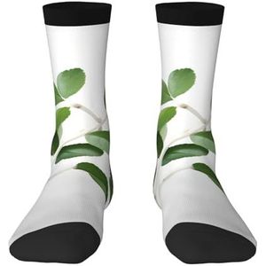 Witte natuurlijke groene twijg comfortabele halfhoge sokken voor mannen en vrouwen - modieuze volwassen sokken, verhoog je stijl., Wit natuurlijk groen Twig, Eén Maat