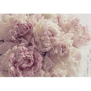 Fotobehang, bloemen, pioenroos, romantische rozen, woonkamer, slaapkamer, wandbehang, vliesbehang, latexdruk, uv-bestendig, geurvrij, hoge resolutie, gereed voor montage (13818, V12 (460 x 300 cm) 5