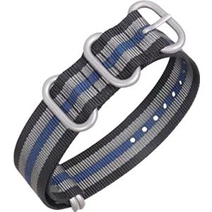 horlogebandjes, lus horlogebandje, 18/20/22/24mm Zware Zilverachtige Ring Gesp Nylon Canvas Horlogeband Mannen Gestreepte Afdrukken Nato horlogeband Vervanging Accessoires (Color : Type 11, Size : 2