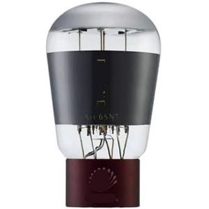 6CA7 6SN7 274B KT88 300B KT66 6SL7 2A3 KT150 845 Vacuümslang (ART 6SN7)