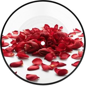 Onderzetters voor drankjes CD onderzetter rode bloemblaadjes verspreid ronde onderzetters absorberende beker mat anti-slip drinkonderzetter voor salontafel decor hittebestendige onderzetters voor