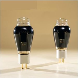 2A3-Z vacuümbuisvervanger 2A3 precisiespel (2 stuks)