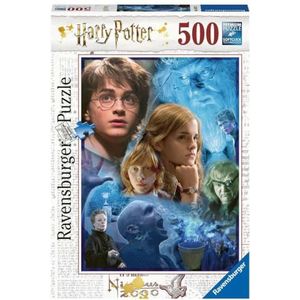 Harry in Hogwarts Puzzel (500 stukjes, Harry Potter thema)