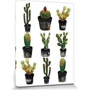 1art1 Cactussen Poster Kunstdruk Op Canvas Cacti, Sofie Rolfsdotter Muurschildering Print XXL Op Brancard | Afbeelding Affiche 80x60 cm