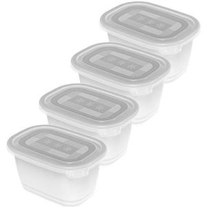 Rotho Freeze Set van 4 diepvriespotten 0.75l met deksel, Kunststof (PP) BPA-vrij, transparante, 4 x 0.75l (15.5 x 11.0 x 13.4 cm)