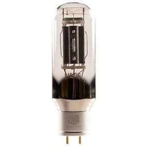 De 845DG-buis vervangt de 845 WE211 845T (1 stuks) audio-versterker