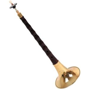 Klein Blad Rood Sandelhout Suona-instrument, Professioneel Spelend High-end Suona-trompet Beginnersblaasinstrument (Color : Minor G key)