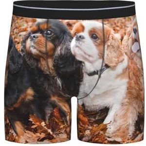 GRatka Boxer slips, heren onderbroek boxer shorts been boxer slips grappig nieuwigheid ondergoed, Cavalier King Charles Spaniel Herfst Puppies, zoals afgebeeld, XXL