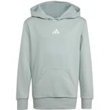 adidas Unisex niños ESSENTIALS POCKET HOODIE, Wonder Sage/white, 15-16 Years
