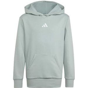 adidas Unisex niños ESSENTIALS POCKET HOODIE, Wonder Sage/white, 15-16 Years