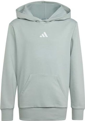 adidas Unisex niños ESSENTIALS POCKET HOODIE, Wonder Sage/white, 15-16 Years