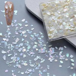 Nail Art Aurora Schelpvlokken Abalone Nagels Bedels 3D Onregelmatige Plak Schelp Steen Pailletten Nail Art Decoratie Manicure Accessoire-03-B