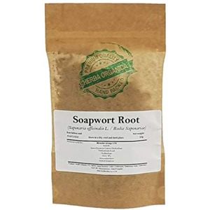 Herba Organica Zeepkruid Wortel - Saponaria Officinalis L / Soapwort Root (50g)