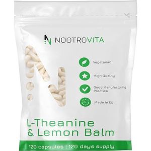 L Theanin met Lemon Balm 500mg - 120 capsules - voor ontspanning, stressvermindering en slaap | L-theanine 200 mg met citroenmelisse 300 mg (Melissa Officinalis) - Nootrovita