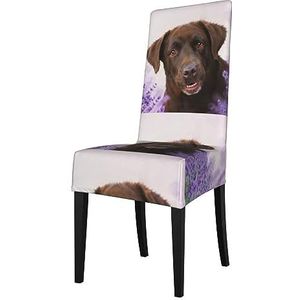 KemEng Brown Labrador Lavender Dogs Retriever, stoelhoezen, stoelbeschermer, stretch eetkamerstoelhoes, stoelhoes voor stoelen