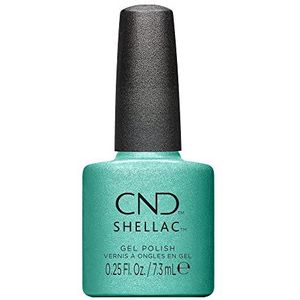 Shellac Clash Out # 446