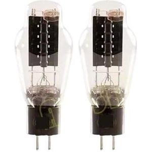 WE300B DIY Tube HIFI Audio versterker (2 stuks WE300B)
