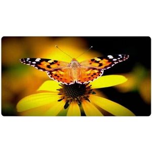 VAPOKF Vlinder bij Echinacea Purpurea Keukenmat, antislip wasbaar vloertapijt, absorberende keukenmatten, lopers, tapijten voor keuken, hal, wasruimte