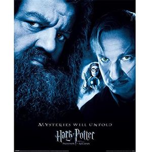 Harry Potter The Prisoner Of Azkaban Poster (50cm x 40cm) (Zwart/Blauw)