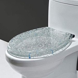 DQZRTUECA Soft Close Toilet Seat met Quick Release Easy Cleaning Hars RVS Scharnieren Multicolor (Zilveren Folie)