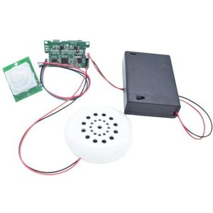 Aboiled DIY MP3 Music Voice Player Kit met PIR -infrarood sensor -opnamemodule, ondersteunt USB -download No TF -kaart