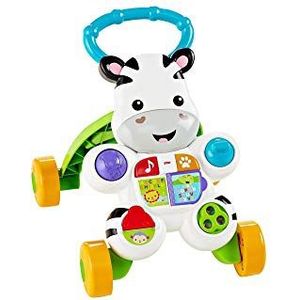 Fisher-Price Zebra DLD80 Loophulp, educatief speelgoed met muziek en geluiden, geschikt voor kinderen vanaf 6 maanden