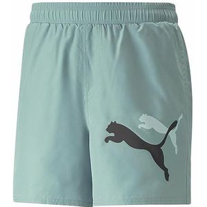 Puma ESS+ Logo Power Cat For All Time Sport Shorts voor heren aquamarijn blauw groen, maat 2XL