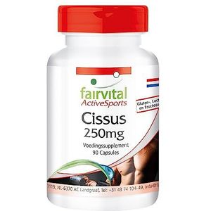 Fairvital | Cissus capsules - HOOG GEDOSEERD - VEGAN - 90 capsules - Cissus Quadrangularis - gestandaardiseerd extract met 20% ketosteron en koraal calcium