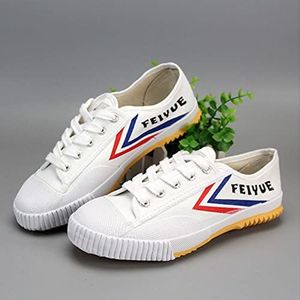 Kung Fu-schoenen voor Vechtsporten Uniseks Tai-chi-sneakers Volwassen Lichtgewicht Sneakers met Rubberen Zool,White-44EU