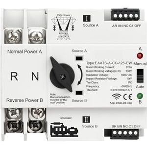EWeLink Afstandsbediening 2P 125A AC 230V ATS Dual Power Automatische overdracht Elektrische keuzeschakelaar Ononderbroken