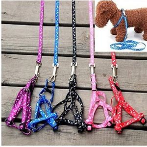 PiniceCore 1 x Nylon huisdier kat hondje puppy riemen lood harnas riem touw warm