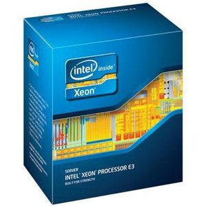 Intel Xeon E3-1245 Sockel 1155 Quad-Core processor (3300 MHz, L2/L3-Cache)