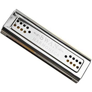 Beide partijen Harmonica 24 Gaten C en G dubbele tonen Harmonica