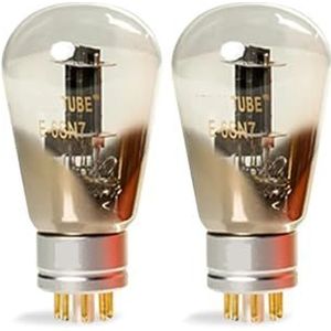 E-6SN7 Tube Audio versterker (2 stuks)