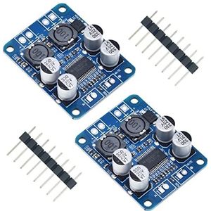 Youmile 2PACK Audio Versterker Board DC8-24V TPA3118 Mono Channel Stereo AMP Module DIY Kit voor Audio Systeem + 20 PIN