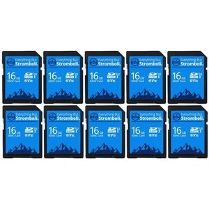 Everything But Stromboli 10 stuks 16 GB klasse 10 UHS-1 U1 C10 16GB SDHC geheugenkaarten voor digitale camera's, computers, trailcamera's