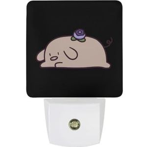 Blueberry Pig Warm Wit Nachtlampje Plug In Muur Schemering naar Dawn Sensor Lichten Binnenshuis Trappen Hal
