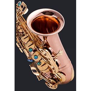 Altsaxofoon Instrument - Volwassen altsaxofoon in E met volledige reistas, opvouwbare standaard en reinigingsset voor beginners/studenten, topkwaliteit messing gravure en prachtig geluid (9)