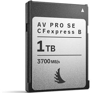 Angelbird - AV PRO SE CFexpress B - Geheugenkaart - 1000 GB - CFexpress Type B